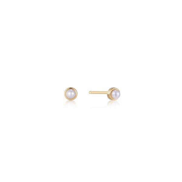 Image of ANIA HAIE Ohrstecker Damen Gold 3MM