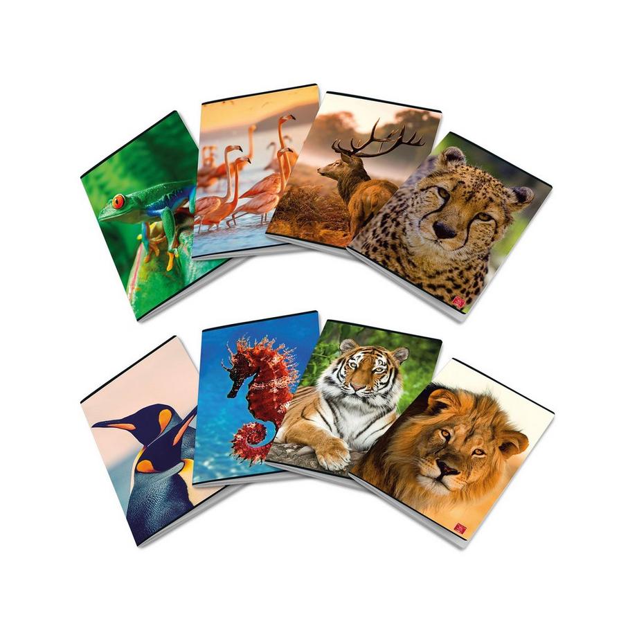 Pigna Schreibheft quaderno 