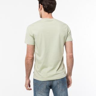 Pepe Jeans OLDWIVE T-Shirt 