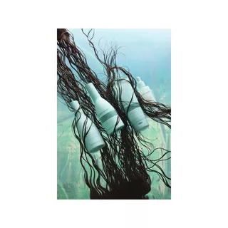 BJOERN AXEN  Moisture Shampoo 