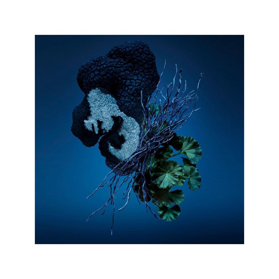 CAROLINA HERRERA CH BAD BOY COBALT Bad Boy Cobalt, Eau de Parfum  