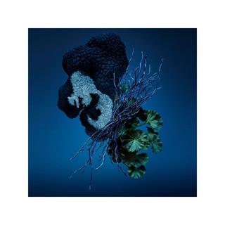 CAROLINA HERRERA CH BAD BOY COBALT Bad Boy Cobalt, Eau de Parfum  