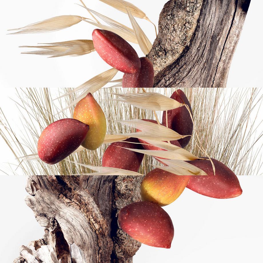 HERMÈS Un Jardin à Cythère, Eau de Toilette  