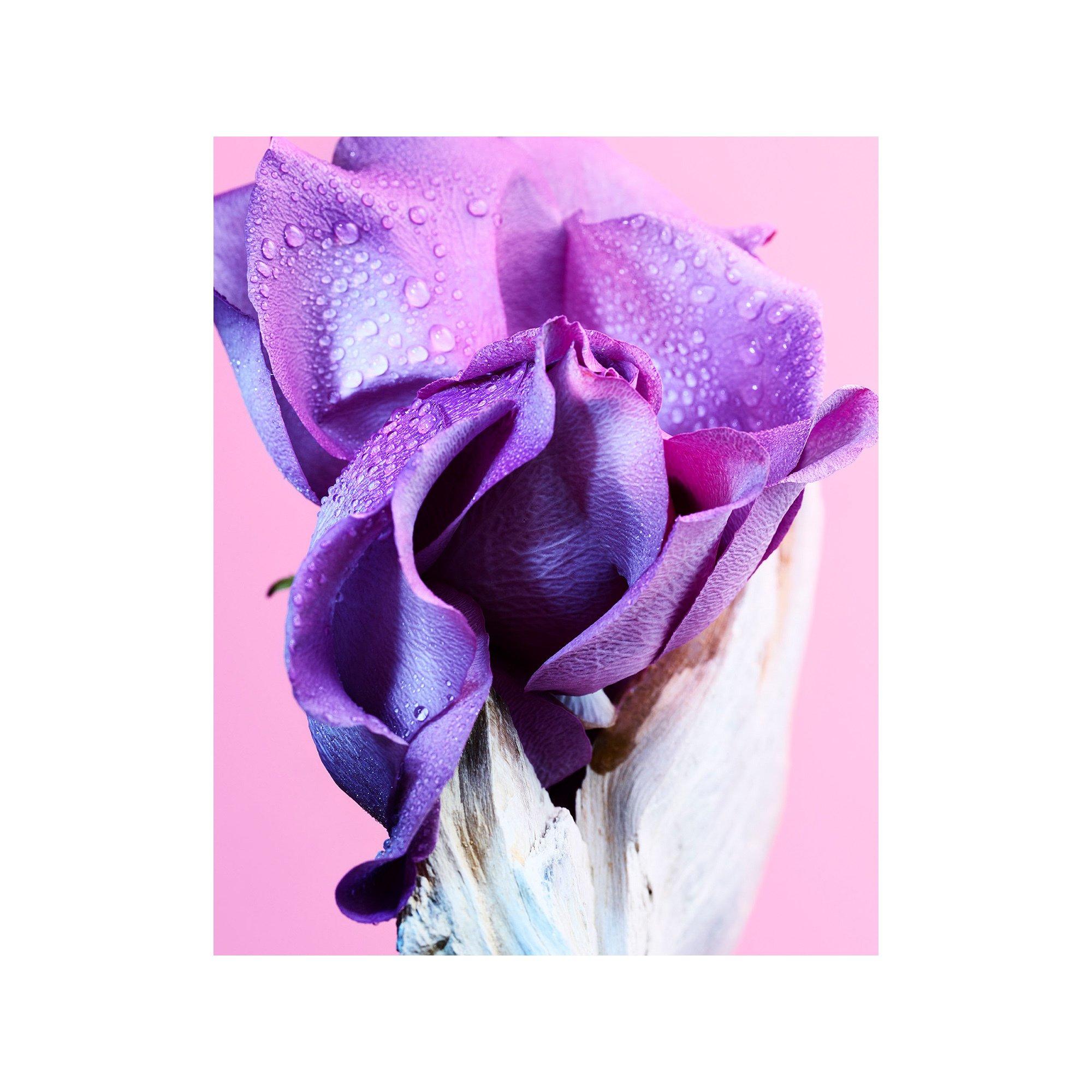 BVLGARI Allegra Ma'Magnifica, Eau de Parfum  