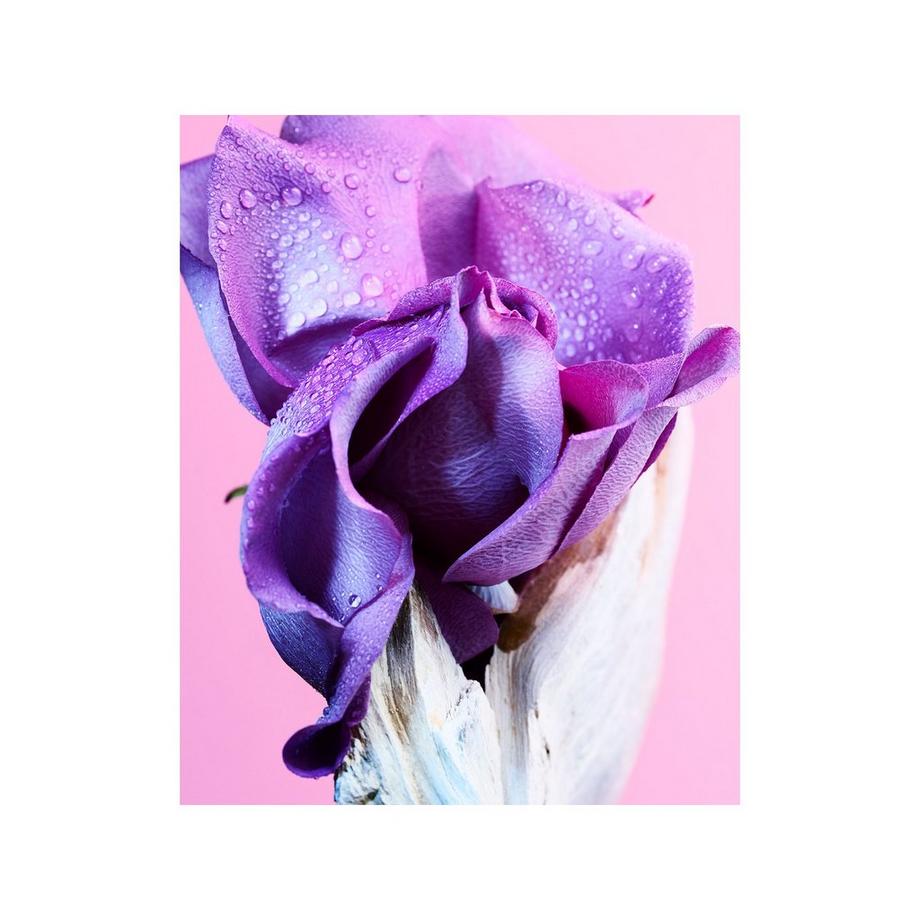 BVLGARI Allegra Ma'Magnifica, Eau de Parfum  