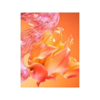 BVLGARI Allegra Passeggiata, Eau de Parfum  