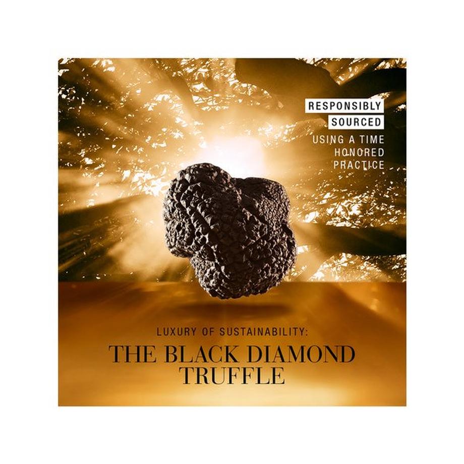 ESTÉE LAUDER  Re-Nutriv Ultimate Diamond Sculpted Transformation Cream 