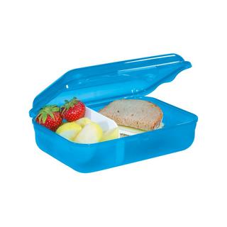 rotho Lunchbox Dolphin Pippa 