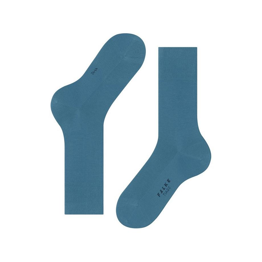 FALKE Tiago Gambaletti  