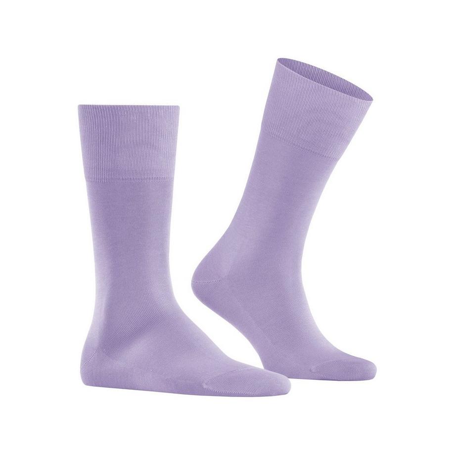 FALKE Tiago Gambaletti  