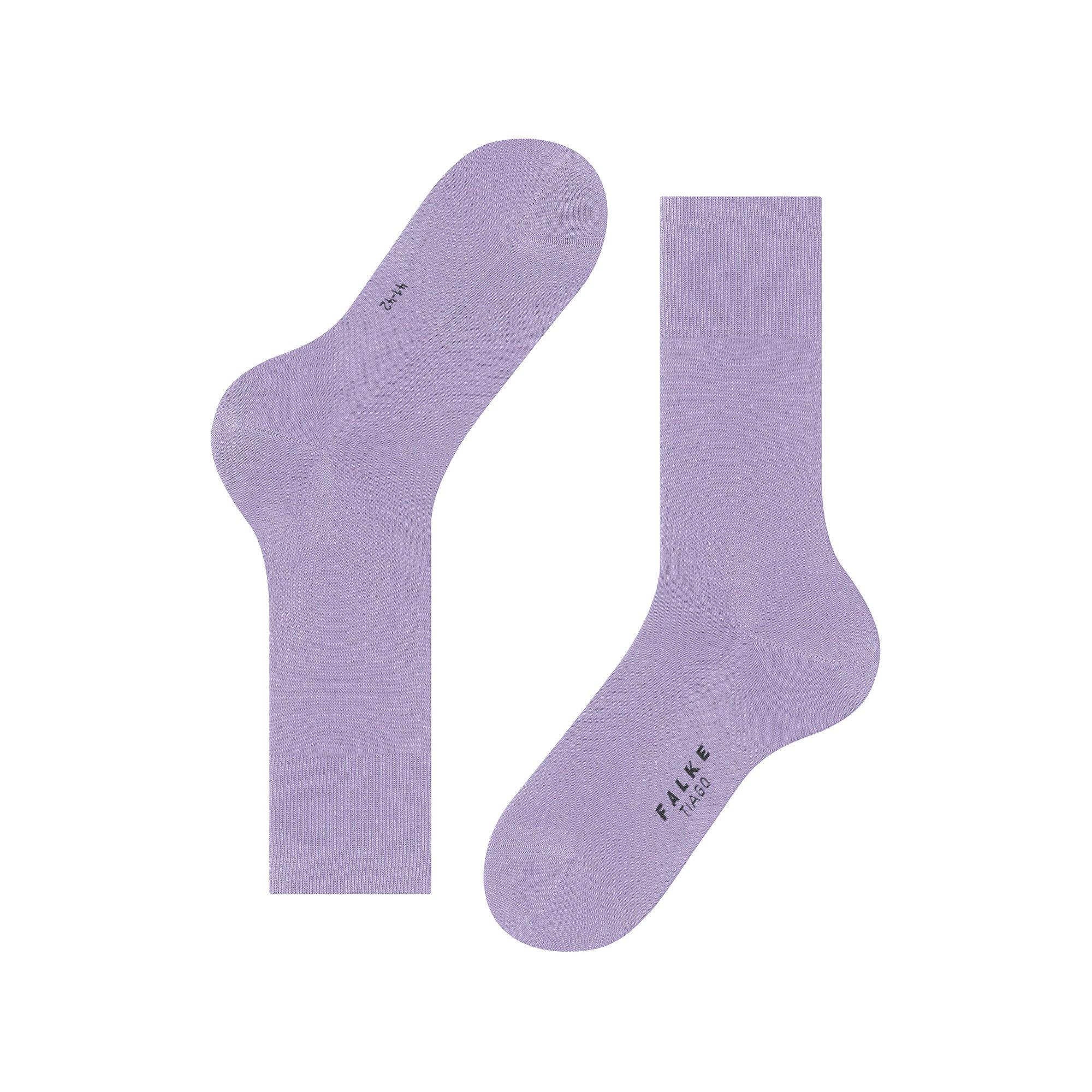 FALKE Tiago SO Gambaletti  