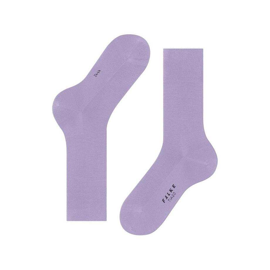 FALKE Tiago Gambaletti  