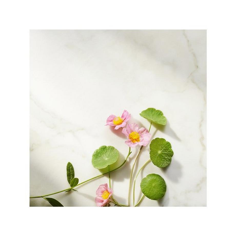 RITUALS Namaste The Ritual of Namaste Ageless Firming Night Cream Refill 