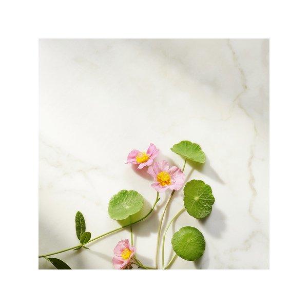 RITUALS Namaste The Ritual of Namaste Ageless Firming Serum Refill 