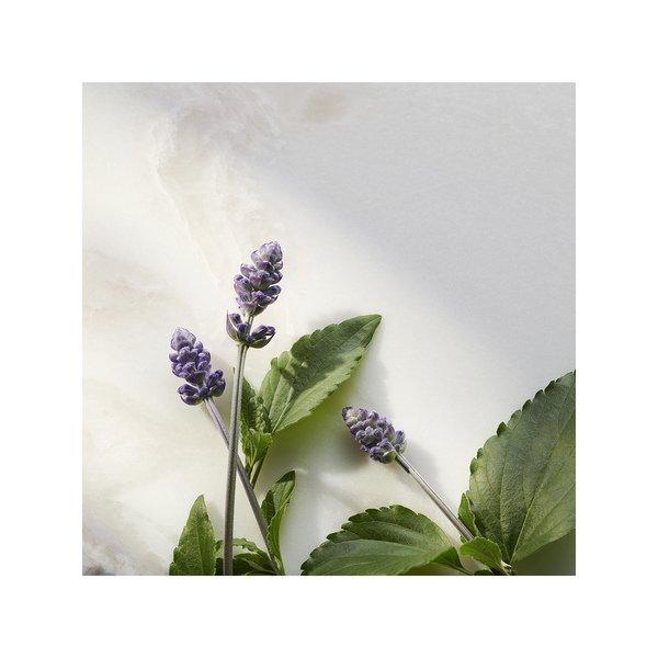 RITUALS Namaste The Ritual of Namaste Bakuchiol Natural Booster 