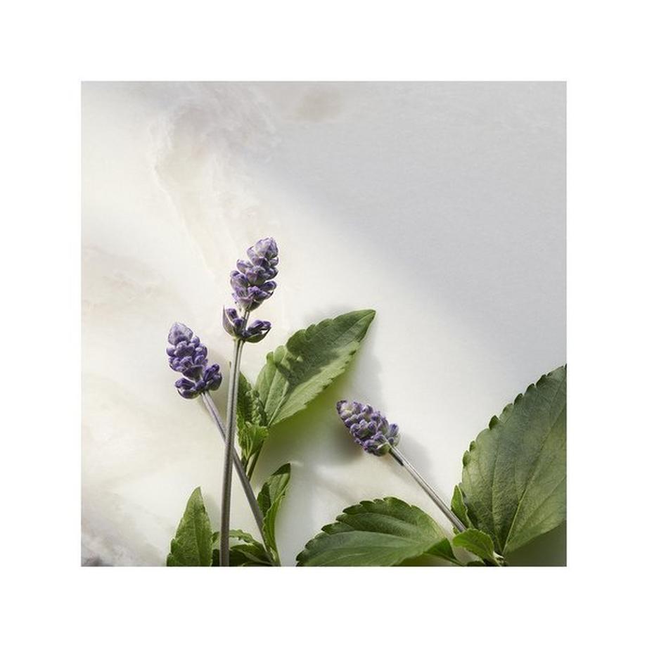 RITUALS Namaste The Ritual of Namaste Bakuchiol Natural Booster 