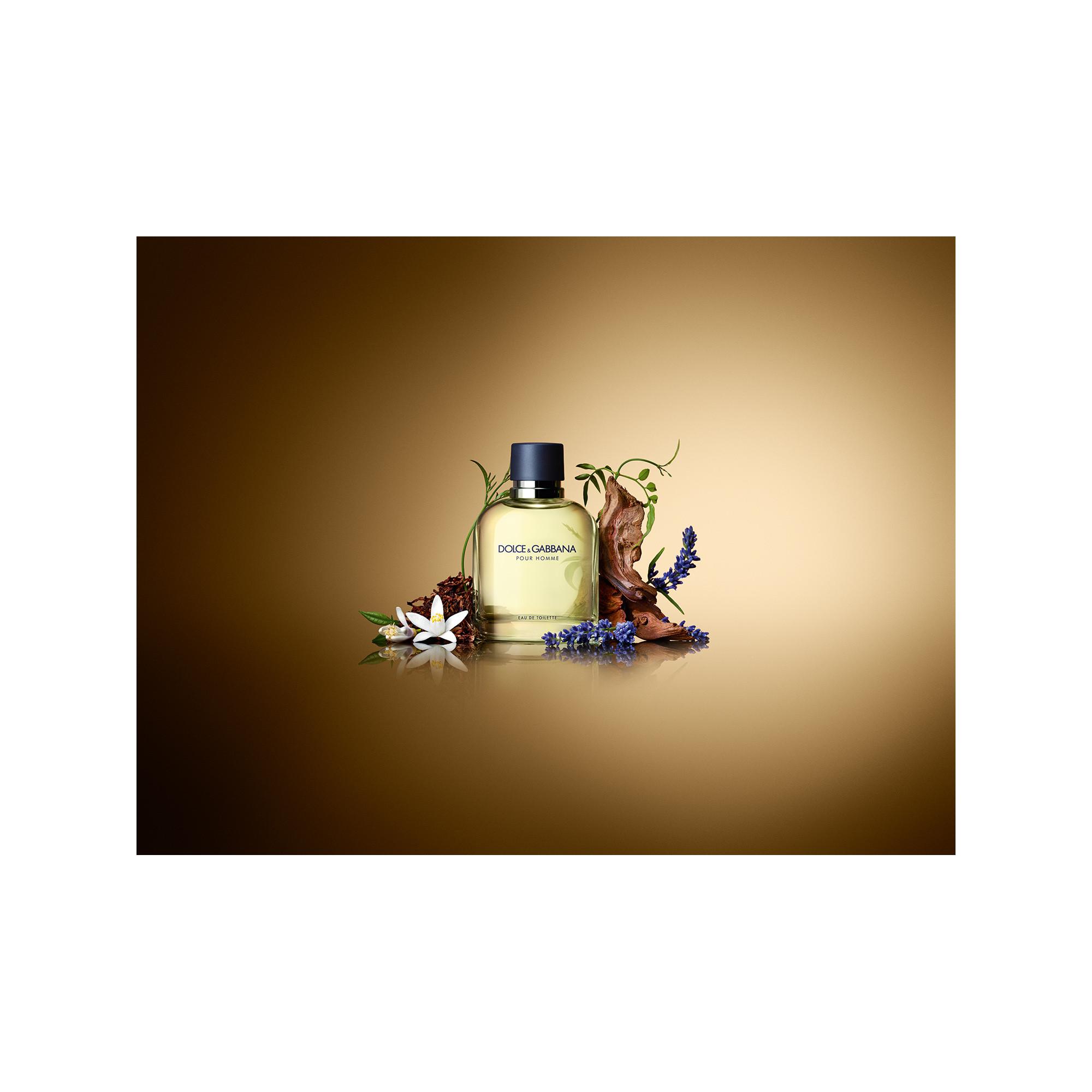 DOLCE&GABBANA Pour Homme Eau de Toilette  