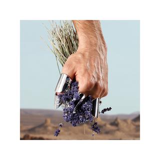 DOLCE&GABBANA K by Dolce & Gabbana Eau de Toilette  