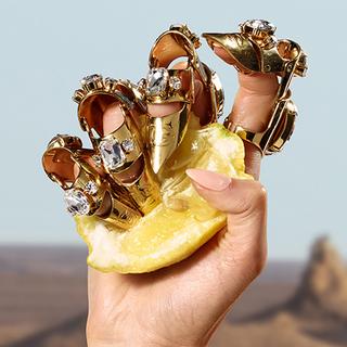 DOLCE&GABBANA Q by Dolce & Gabbana Eau de Parfum  