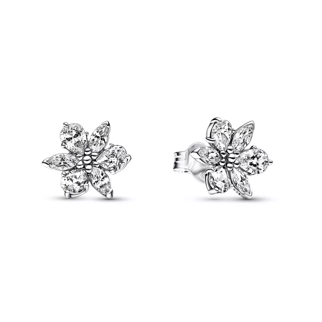 Pandora - Ohrstecker,  Timeless, One Size, Silber 4