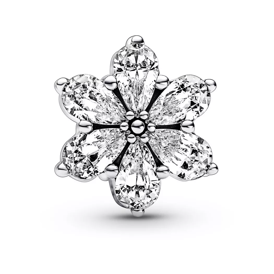 Pandora - Charm,  Timeless, One Size, Silber
