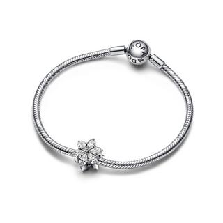 PANDORA Pandora Timeless Charm 