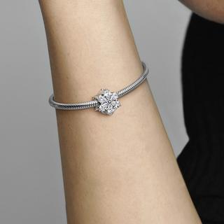 PANDORA Pandora Timeless Charm 