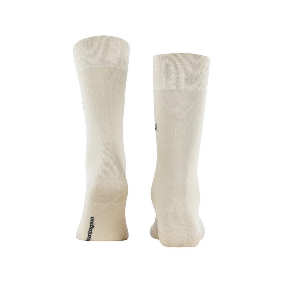 Burlington Dublin SO Gambaletti  