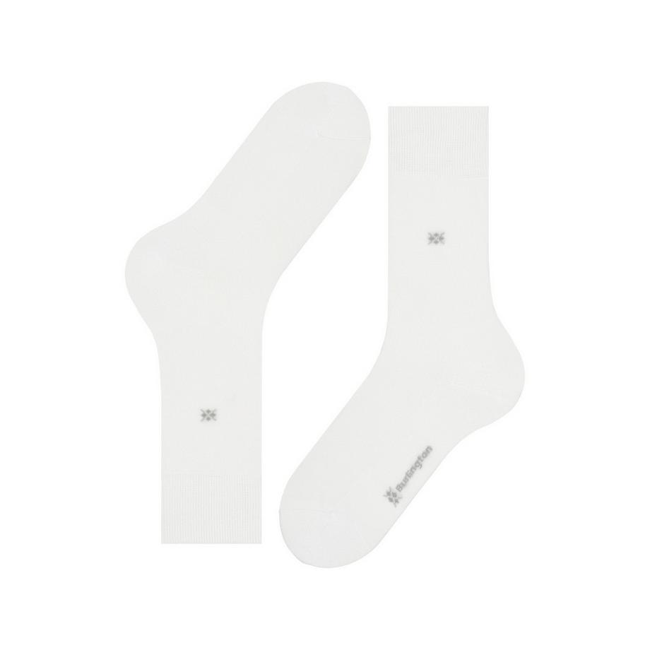 Burlington Dublin SO Gambaletti  