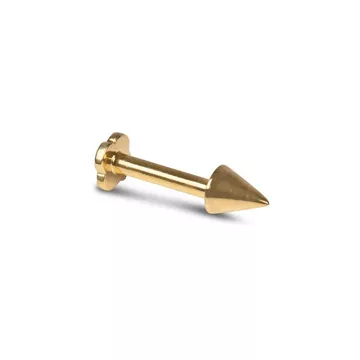 Piercing oreille