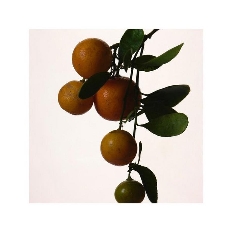 Fenty Beauty By Rihanna Fenty - Eau de Parfum  