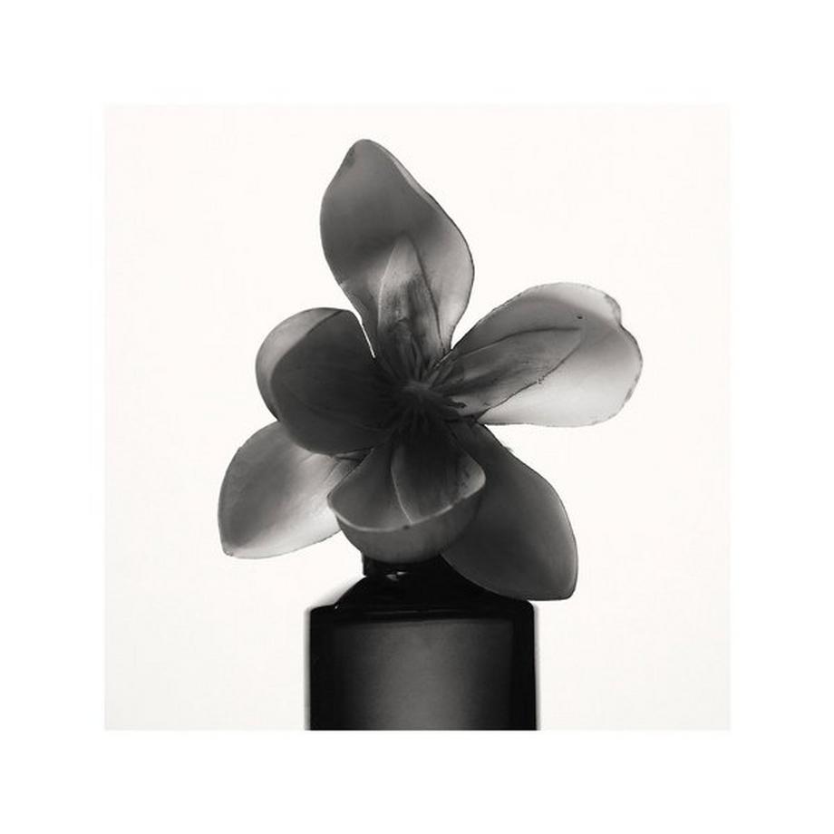 Fenty Beauty By Rihanna Fenty - Eau de Parfum  