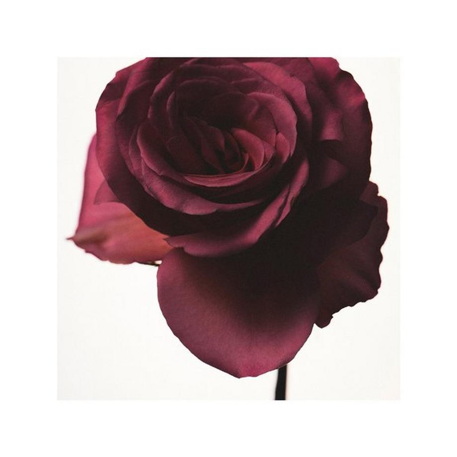 Fenty Beauty By Rihanna Fenty - Eau de Parfum  