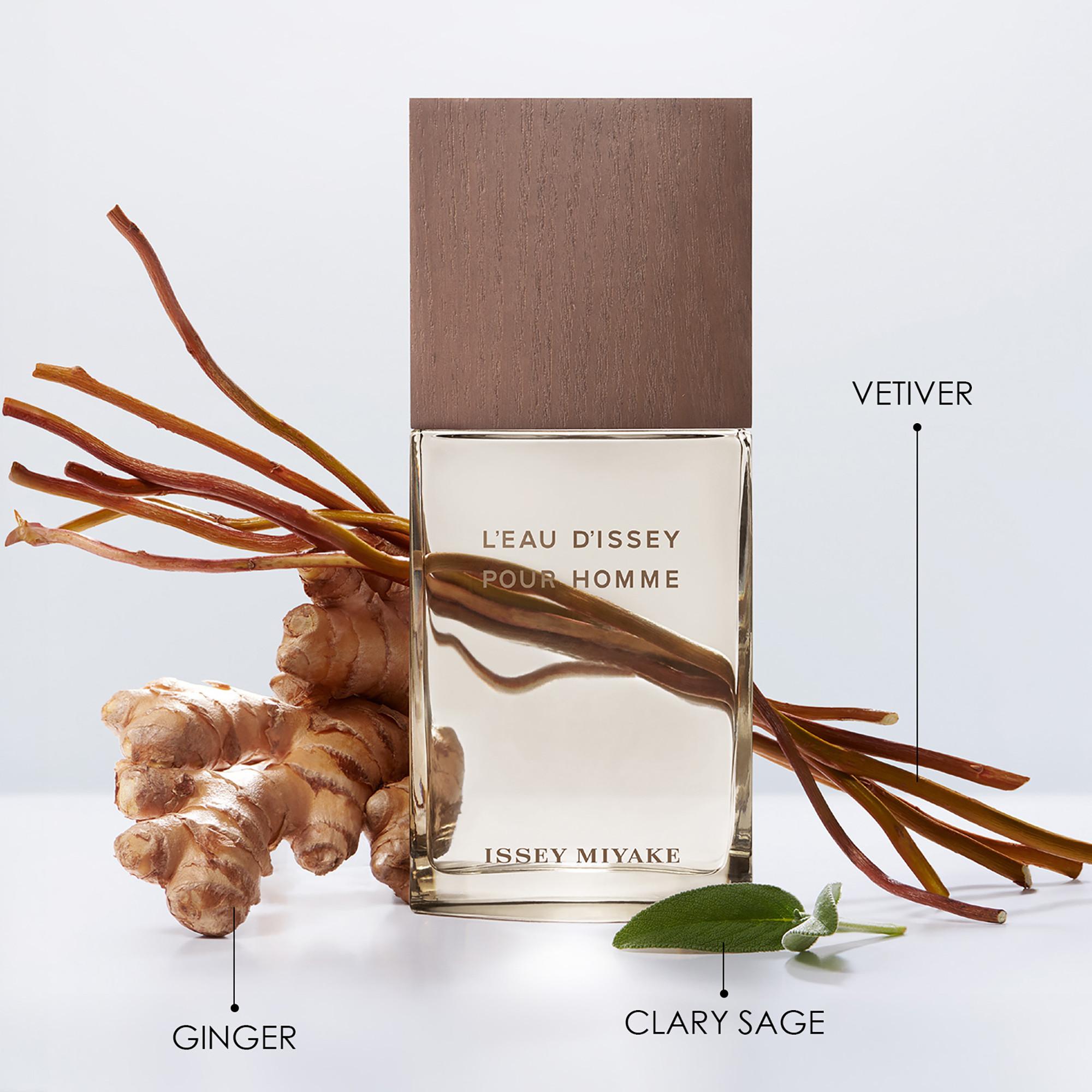 ISSEY MIYAKE Eau-Vétiver L'Eau d'Issey Vétiver Pour Homme, Eau de Toilette Intense  