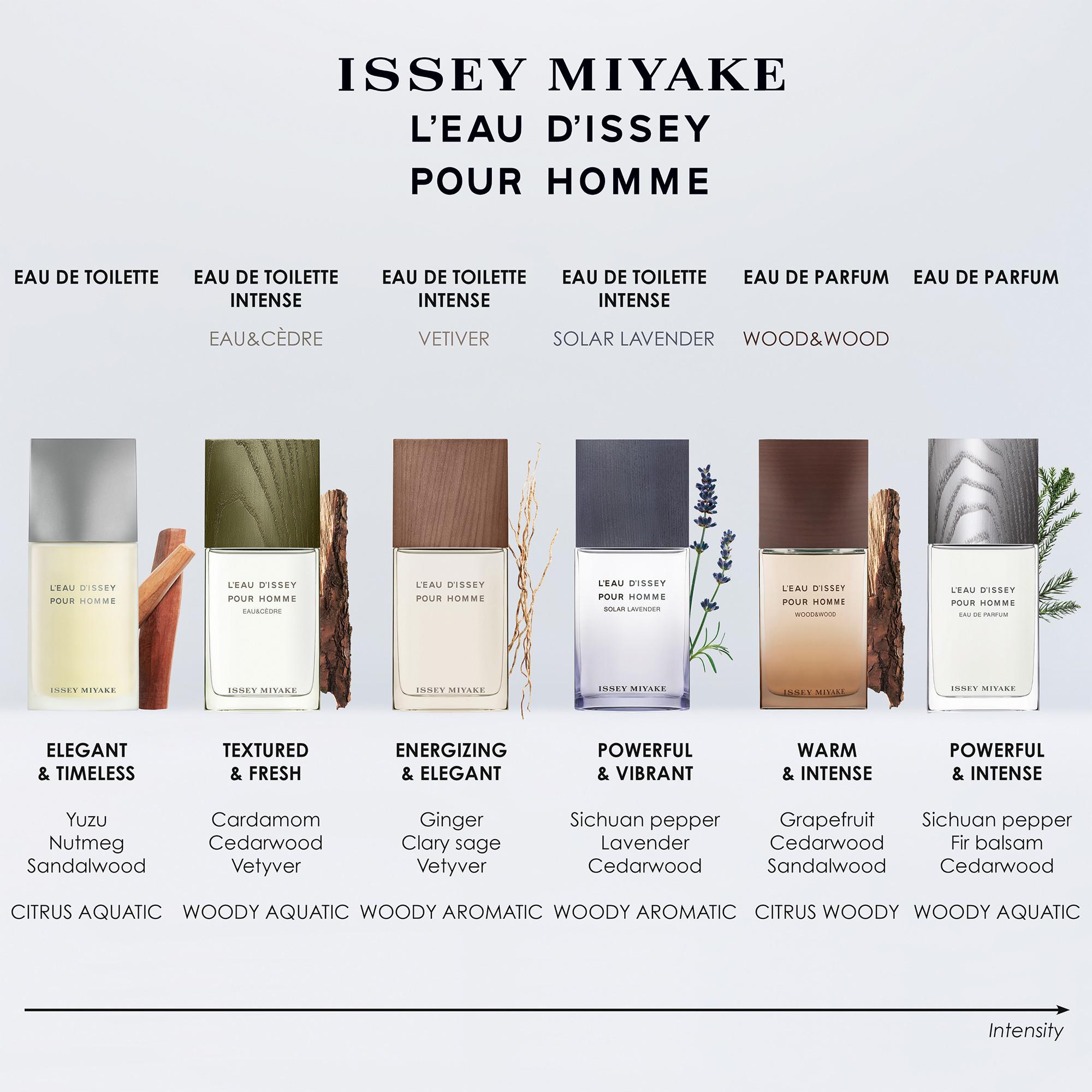 ISSEY MIYAKE Eau-Vétiver L'Eau d'Issey Vétiver Pour Homme, Eau de Toilette Intense  