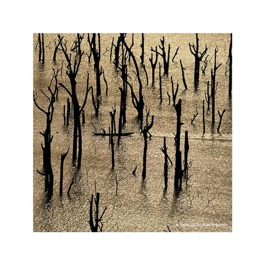 Guerlain Aqua Allegoria Nerolia Vetiver Forte Eau de Parfum 