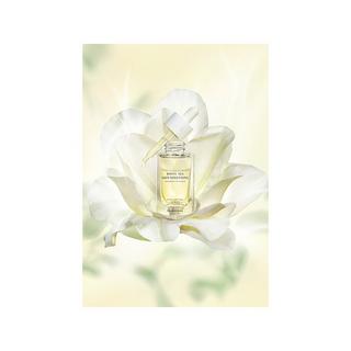 Elizabeth Arden WHITE TEA SKIN SOLUTIONS White Tea Skin Solutions Fortifying Bi-Phase Oil Serum 