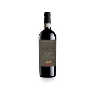 Villa Leone 2019, Amarone della Valpolicella, Amarone della Valpolicella DOCG  