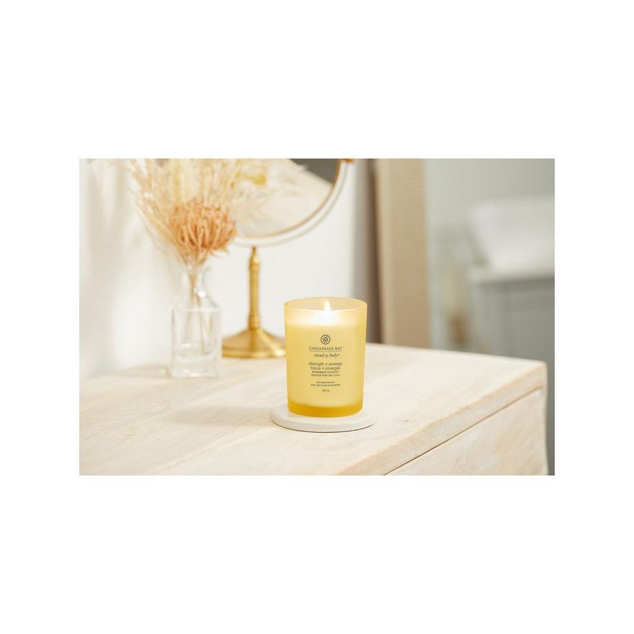 Chesapeake Bay Duftkerze im Glas Strength & Energy 