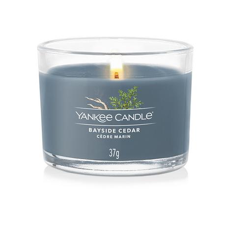 Yankee Candle Signature Duftkerze im Glas Bayside Cedar 