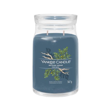 Yankee Candle Signature Bougie parfumée en verre Bayside Cedar 