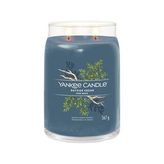 Yankee Candle Signature Candela profumata in vetro Bayside Cedar 