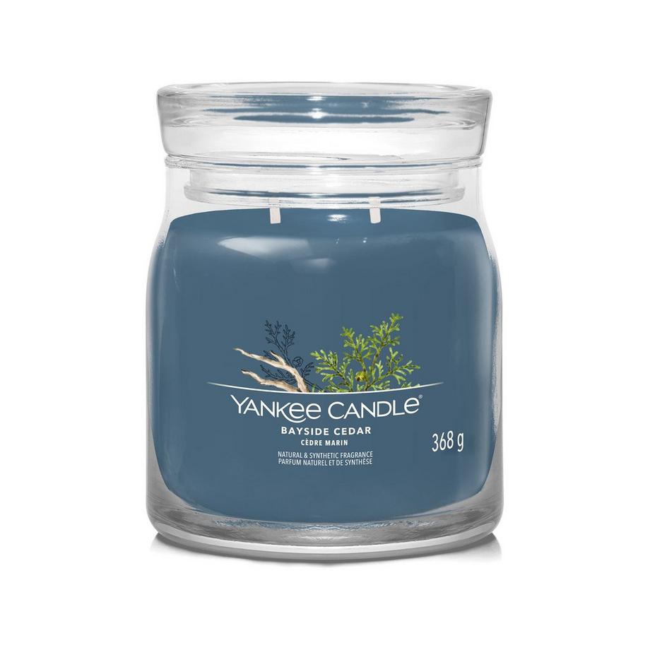 Yankee Candle Signature Bougie parfumée en verre Bayside Cedar 