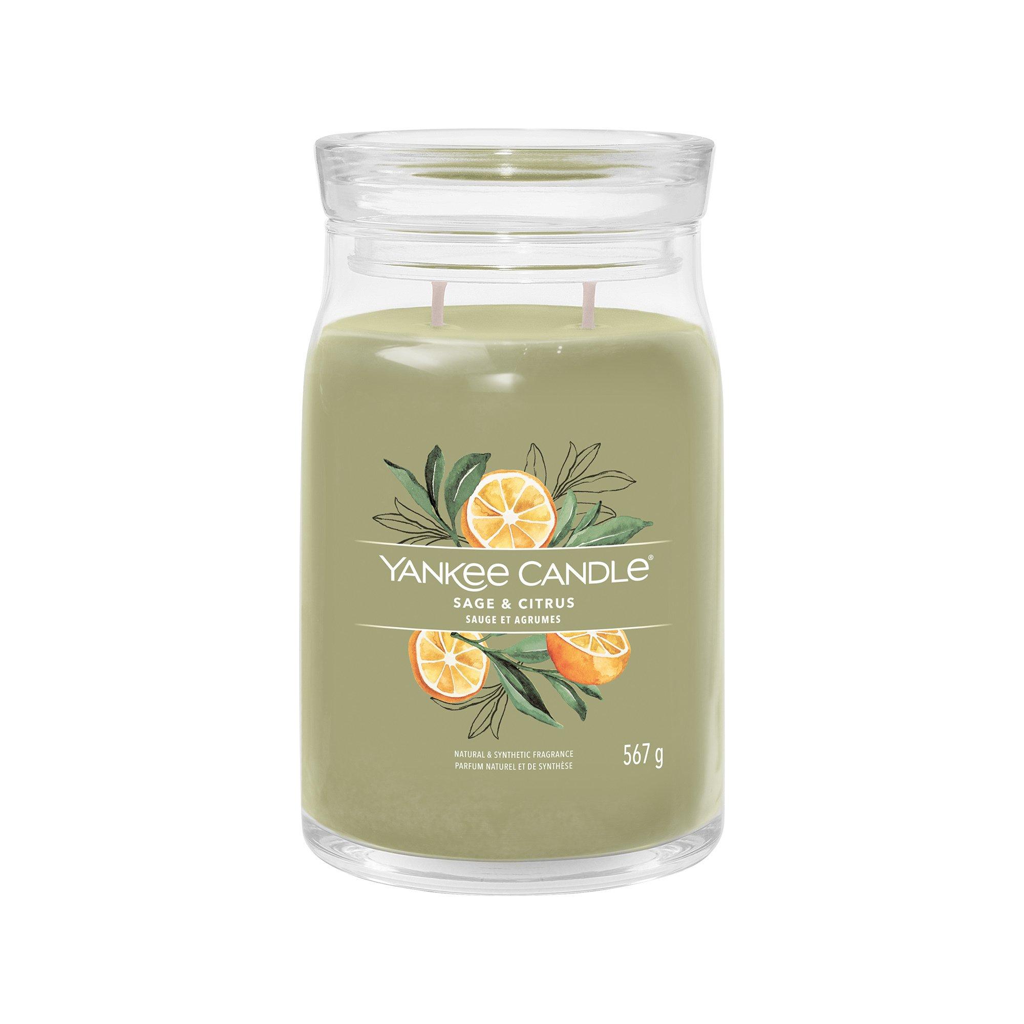 Yankee Candle Signature Candela profumata in vetro Sage & Citrus 