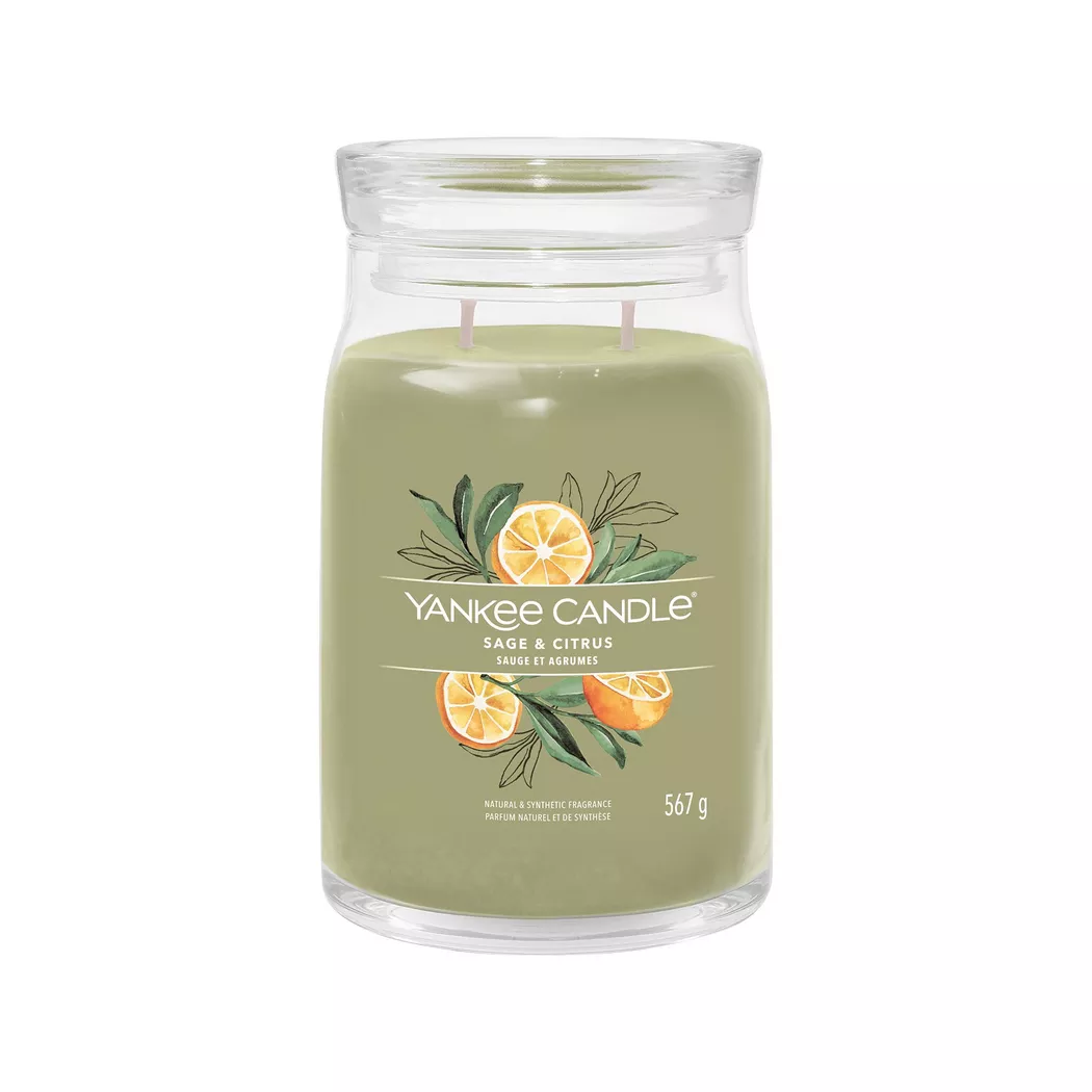 Yankee Candle Signature - Duftkerze im Glas, 567G, Weidengrün