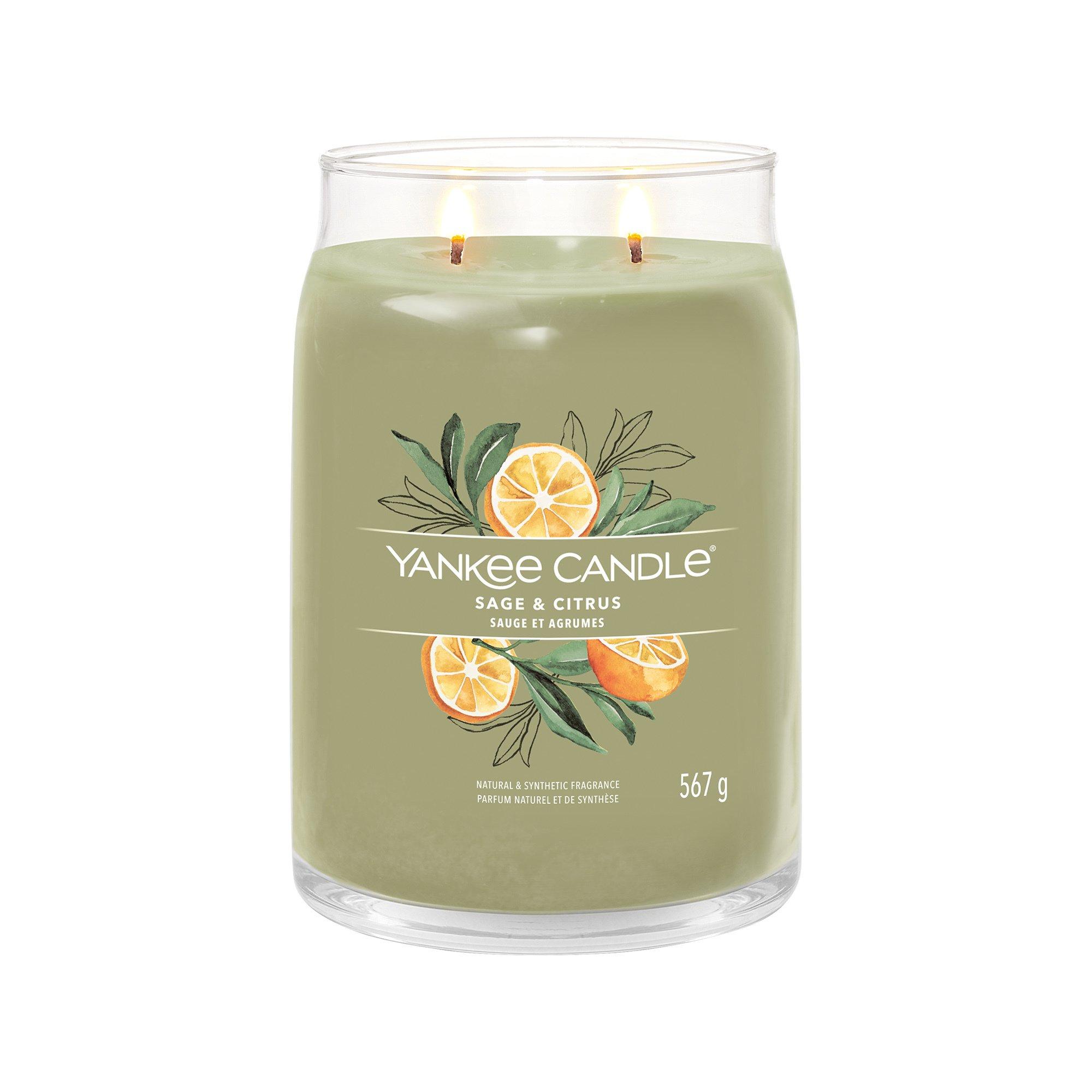 Yankee Candle Signature Candela profumata in vetro Sage & Citrus 