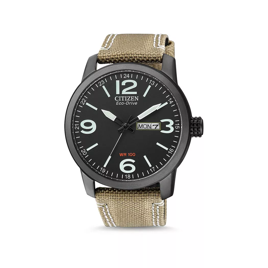 Citizen EcoDrive Analog Watch Beige 42mm