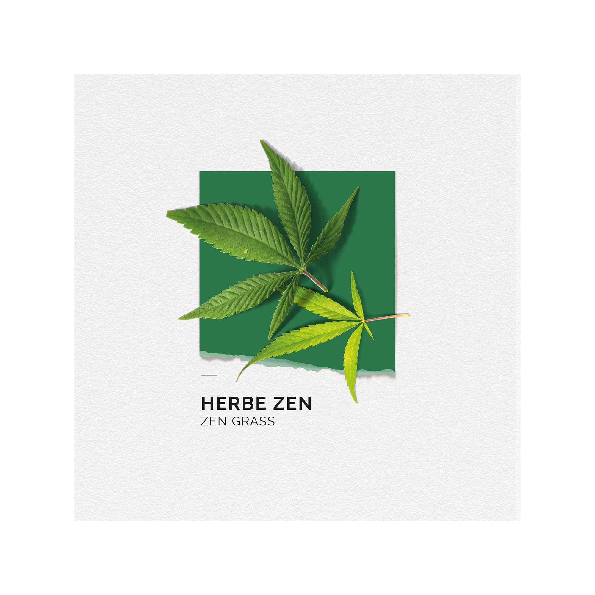 solinotes Herb Zen Herbe Zen, Eau de Parfum  