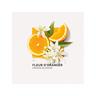 solinotes  Oranger, Eau de Parfum 
