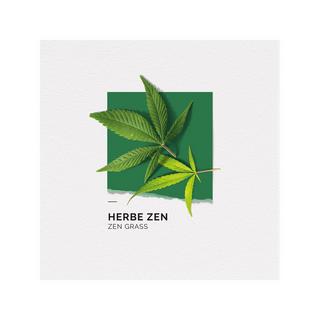solinotes Herbe Zen, Eau de Parfum  